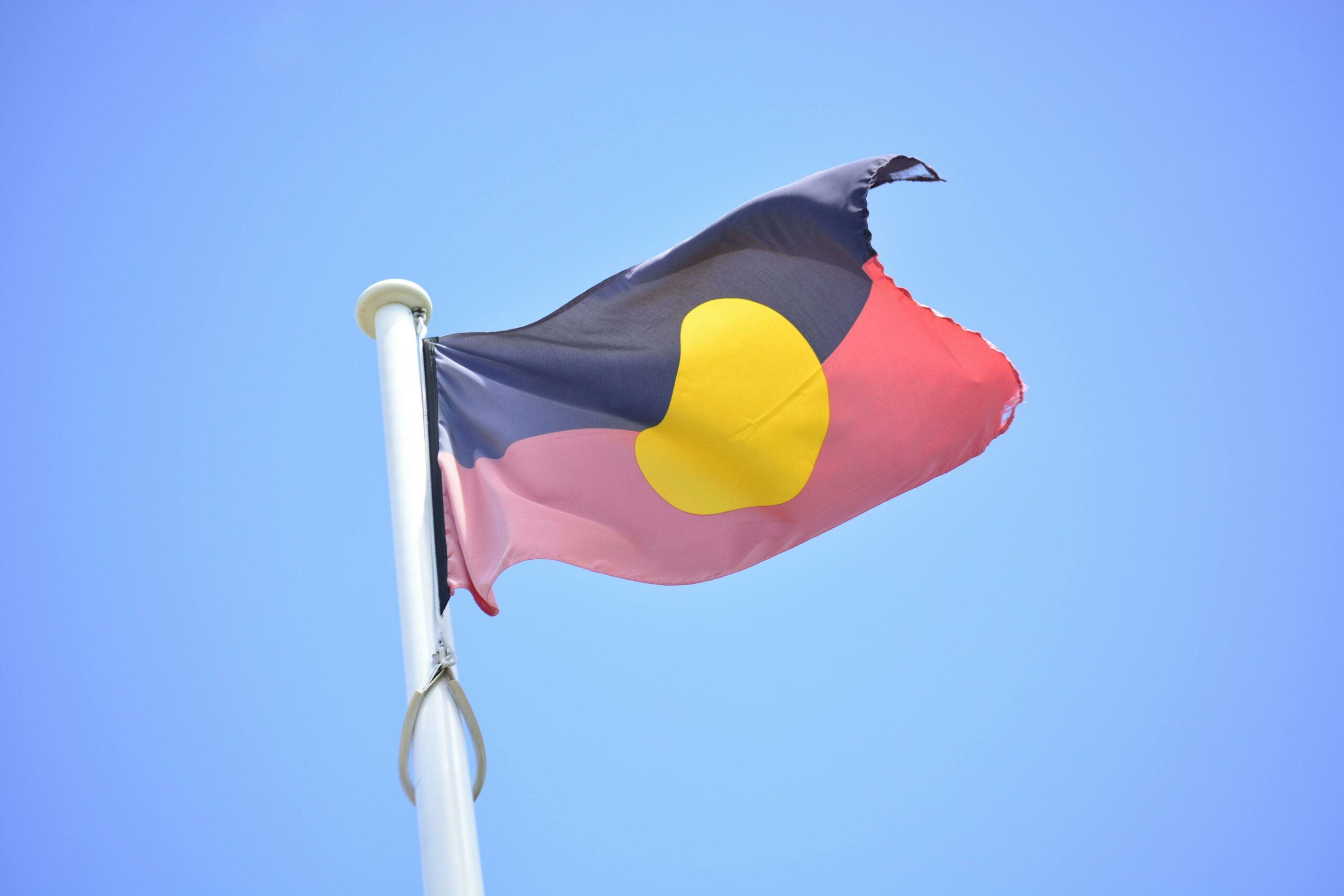 NAIDOC